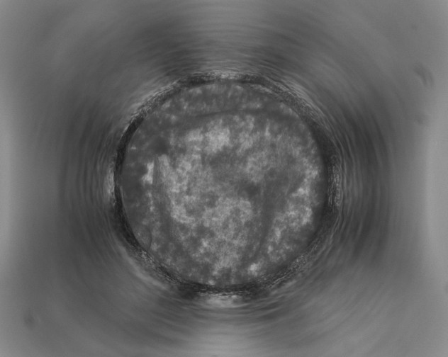 X0000113040500200909241437