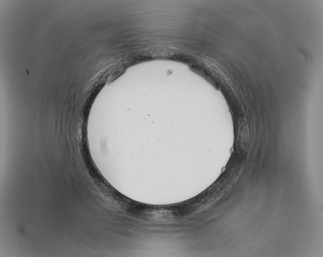 X0000113040501200909241437