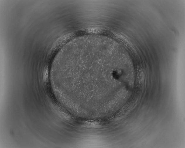 X0000113040502200909241437