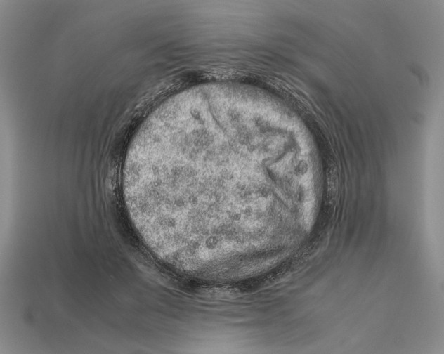 X0000113040503200909241437