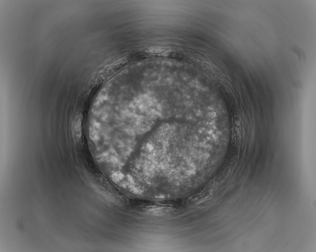 X0000113040504200909241437