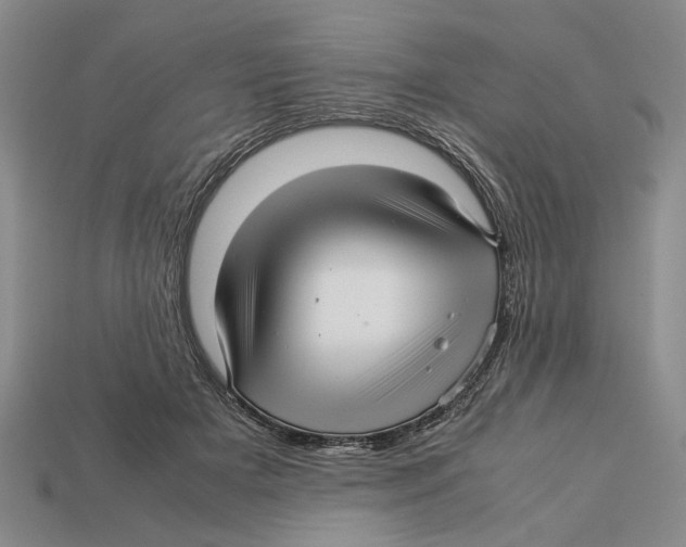 X0000113040505200909241437