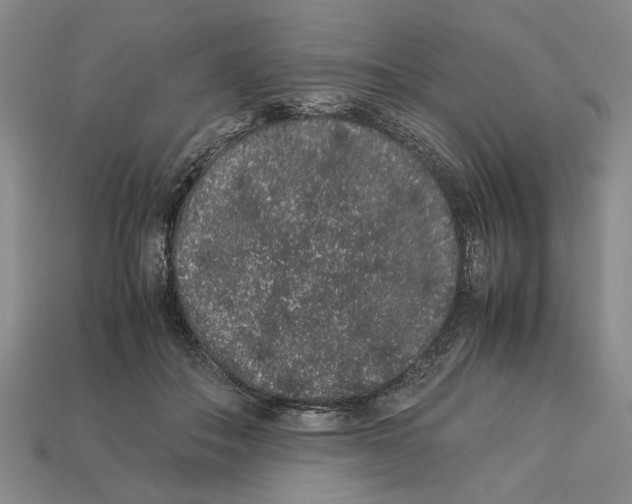 X0000113040506200909241437