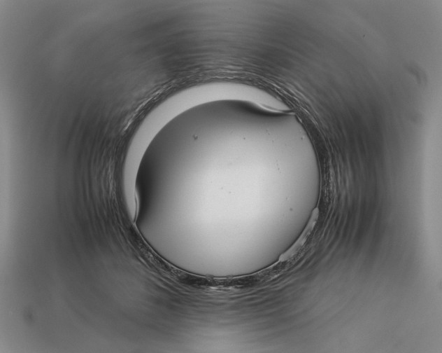 X0000113040508200909241437