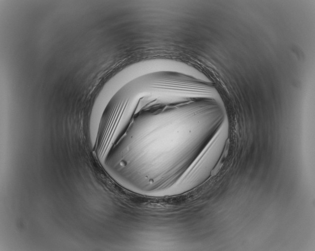 X0000113040512200909241437