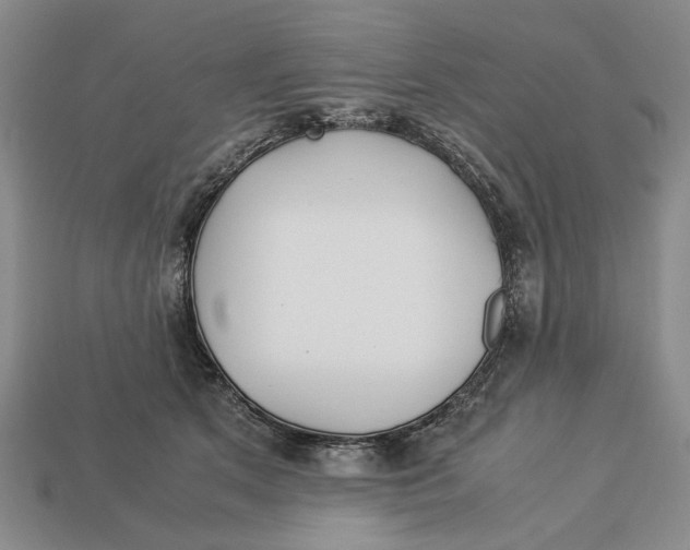 X0000113040513200909241437