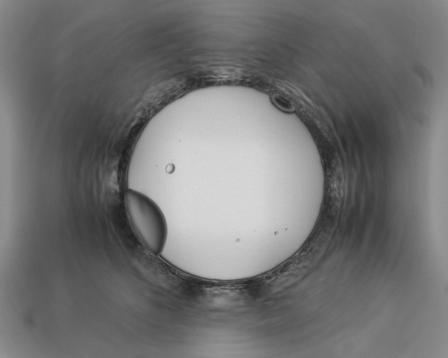 X0000113040516200909241437