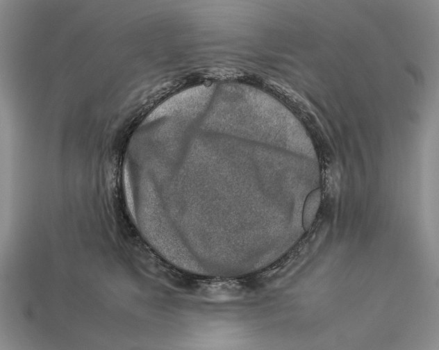 X0000113040517200909241437