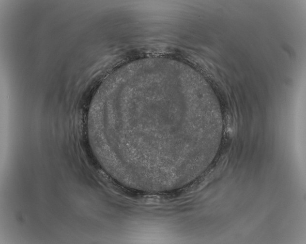 X0000113040519200909241437