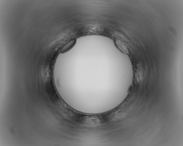 X0000113040520200909241437