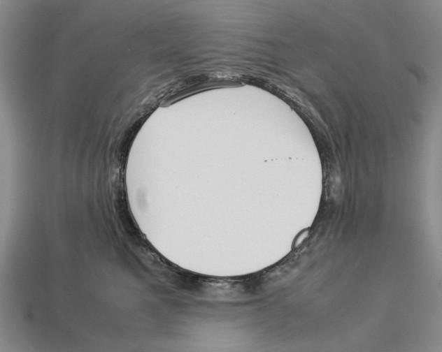 X0000113040521200909241437