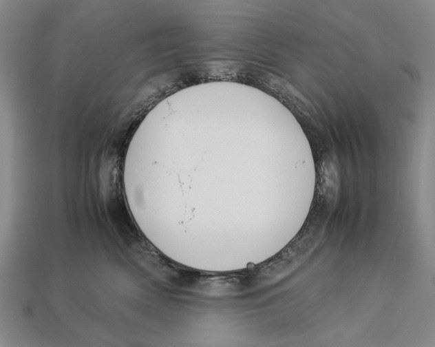 X0000113040522200909241437