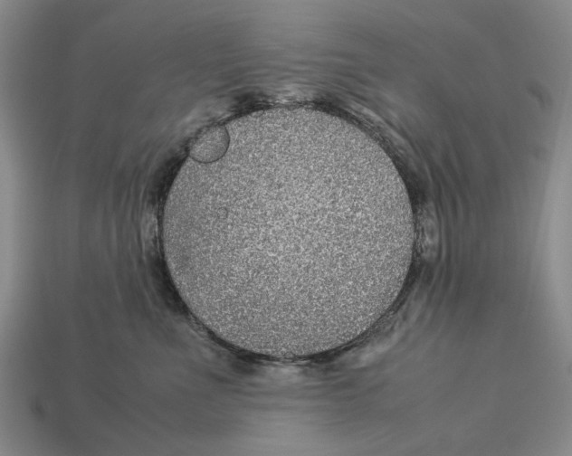 X0000113040523200909241437
