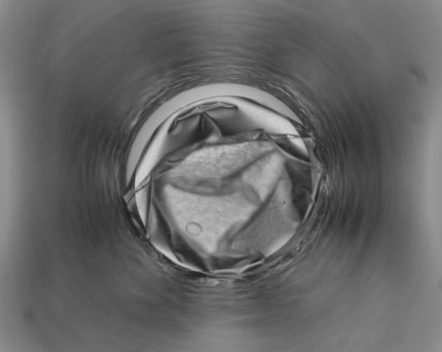X0000113040524200909241437