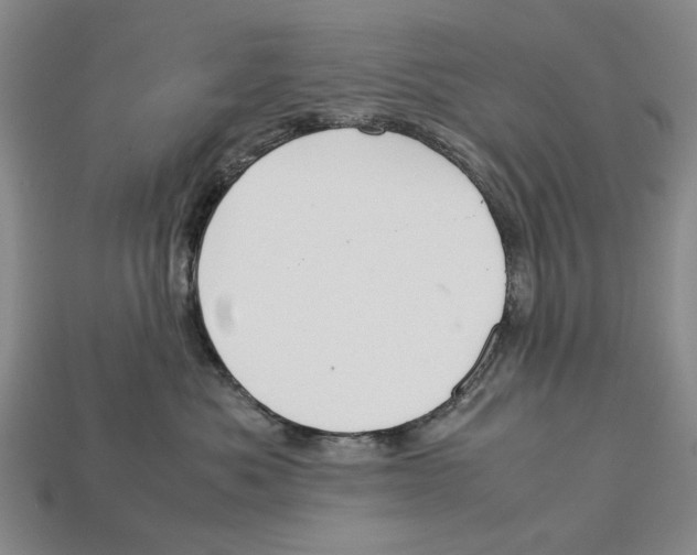 X0000113040525200909241437