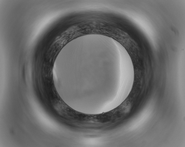 X0000113040526200909241437