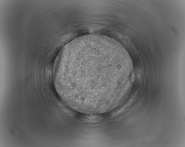 X0000113040527200909241437