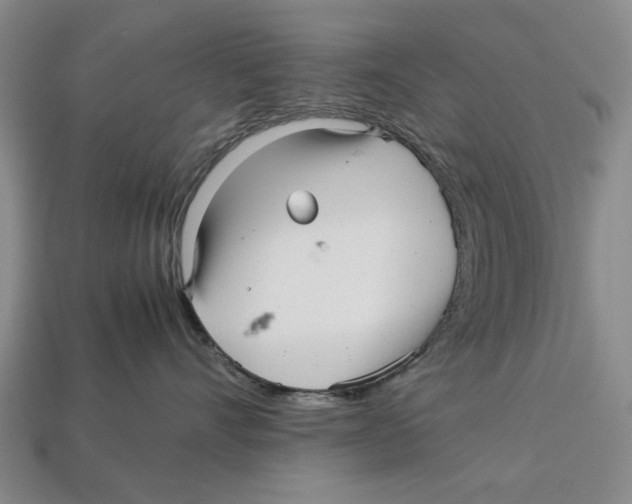 X0000113040528200909241437
