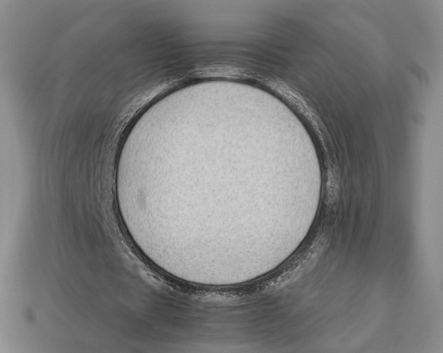 X0000113040529200909241436