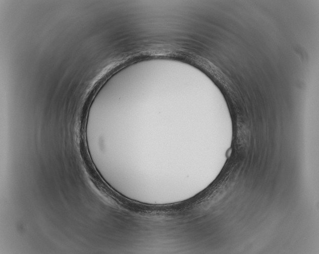 X0000113040530200909241436