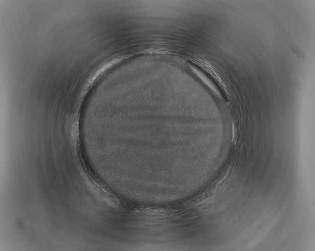 X0000113040531200909241436