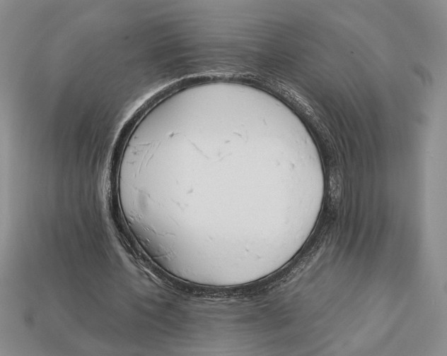 X0000113040532200909241436