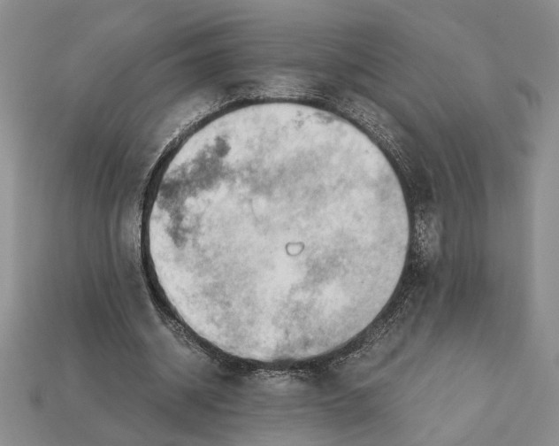 X0000113040534200909241436