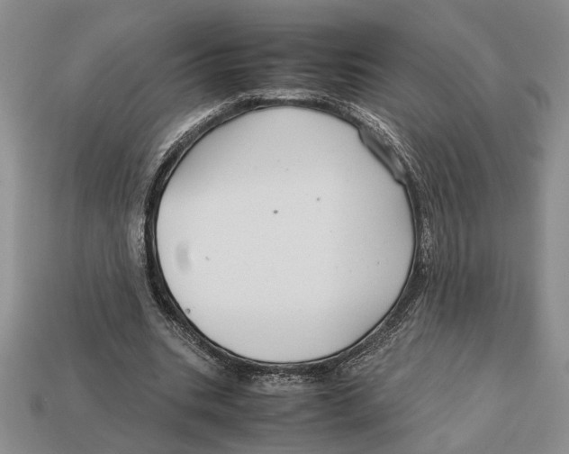 X0000113040535200909241436