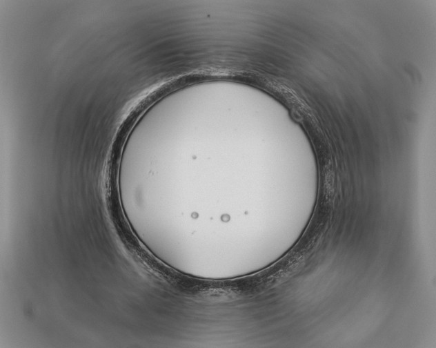 X0000113040536200909241436