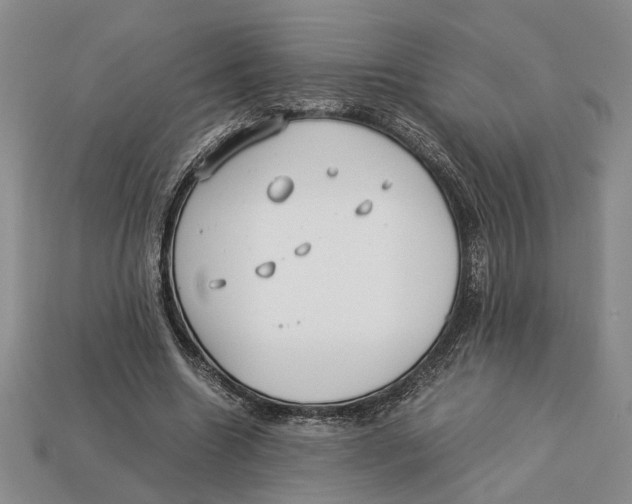 X0000113040538200909241436
