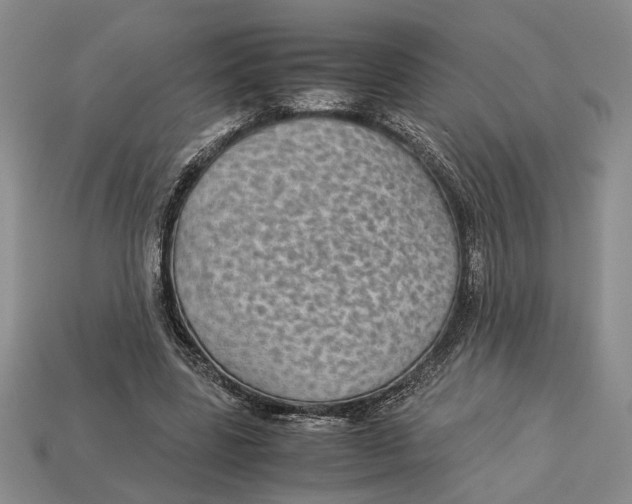 X0000113040539200909241436