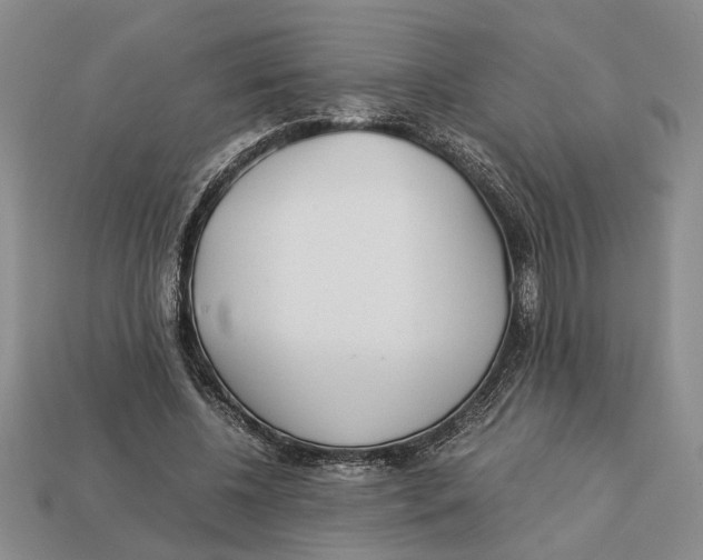 X0000113040540200909241437