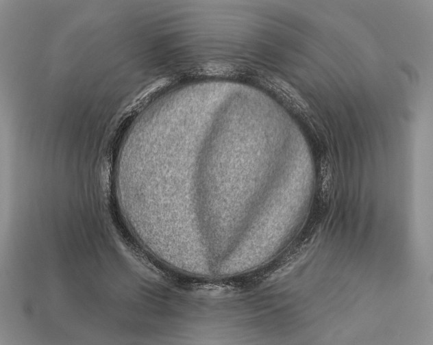 X0000113040542200909241437
