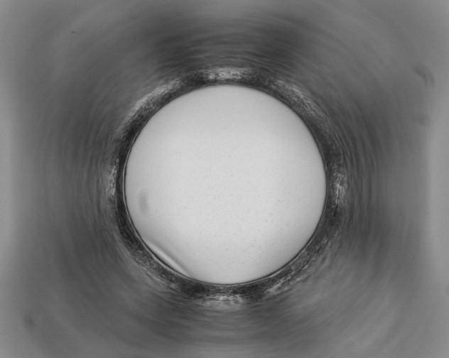 X0000113040543200909241437