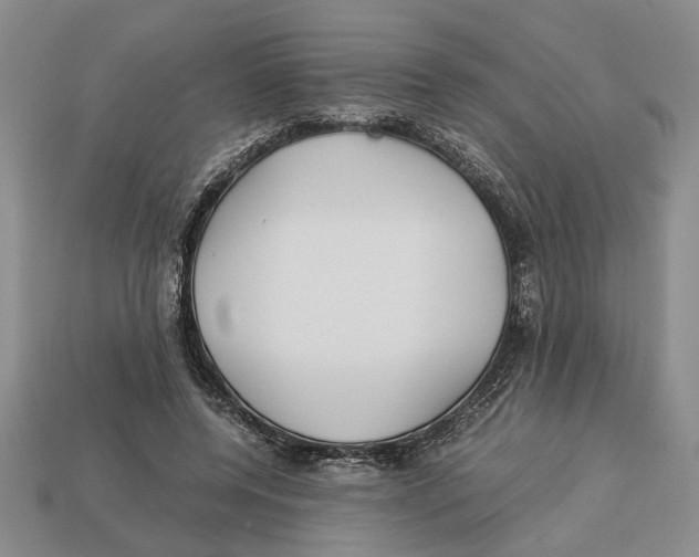 X0000113040544200909241437