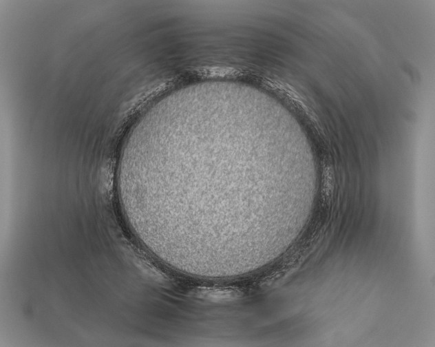 X0000113040545200909241437