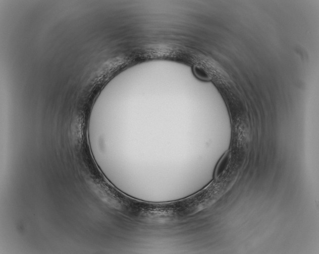 X0000113040546200909241437