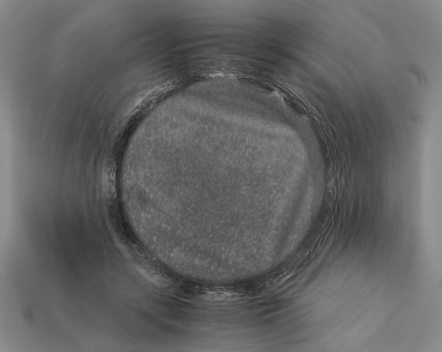 X0000113040547200909241437