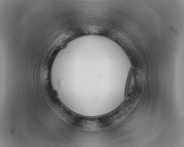 X0000113040548200909241437