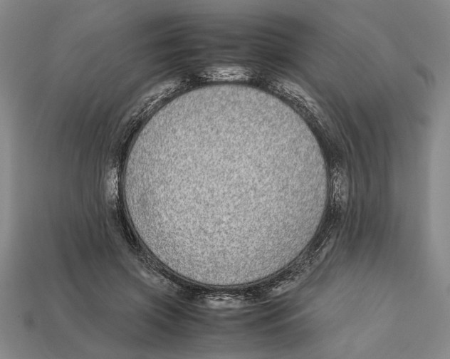 X0000113040549200909241437