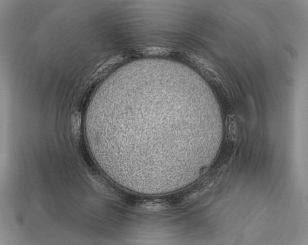 X0000113040550200909241437
