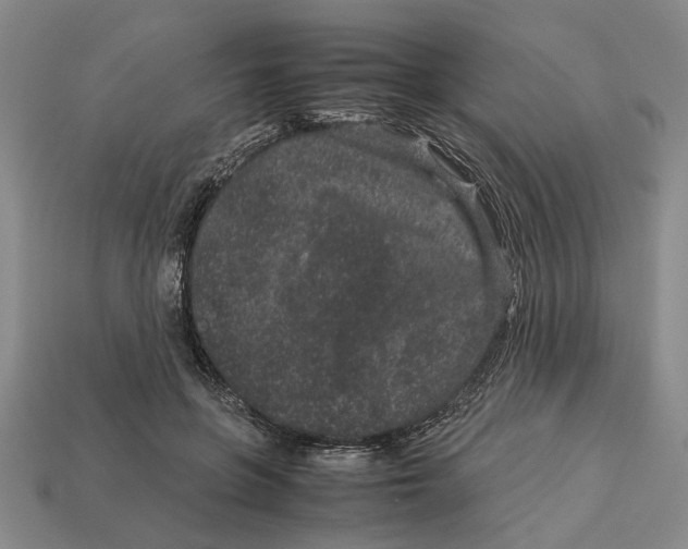 X0000113040551200909241437