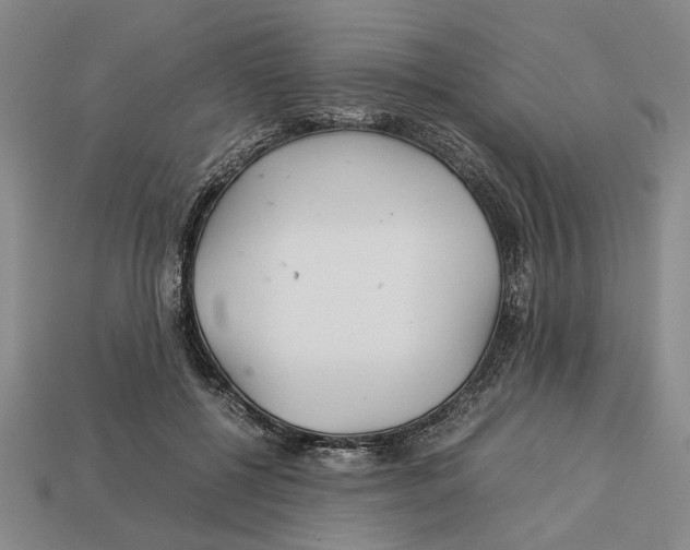 X0000113040552200909241437