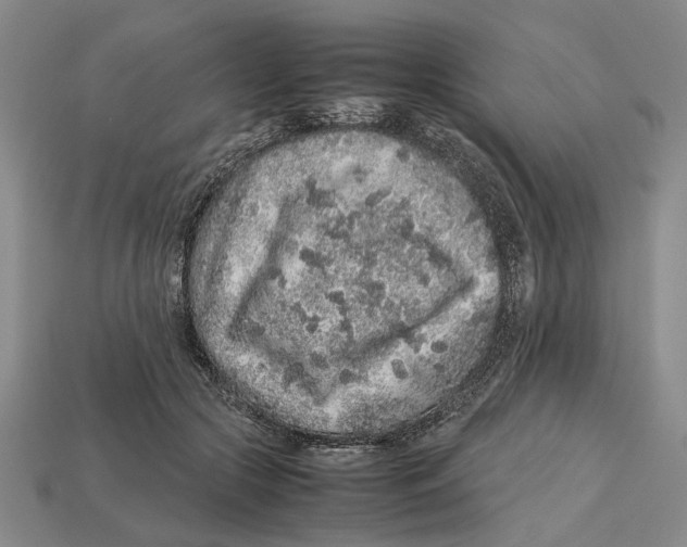 X0000113040553200909241437