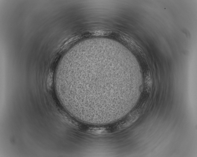 X0000113040554200909241437
