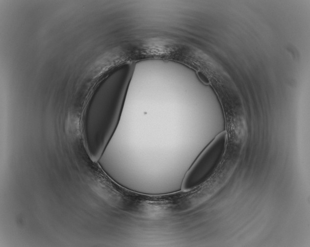 X0000113040556200909241437