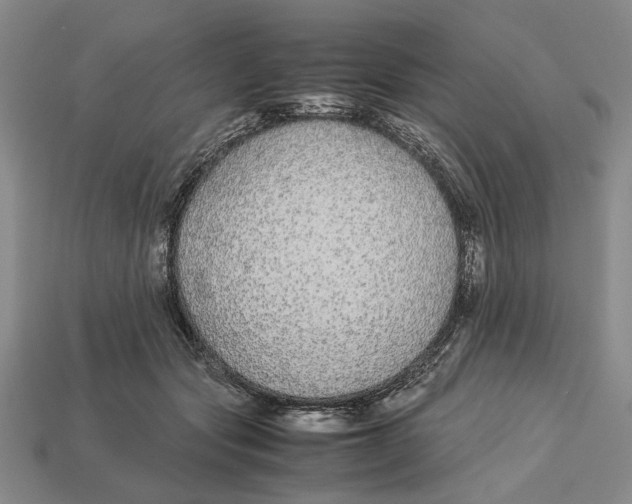 X0000113040557200909241437