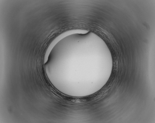 X0000113040558200909241437