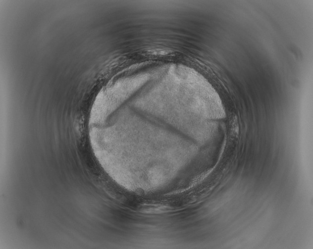X0000113040559200909241437