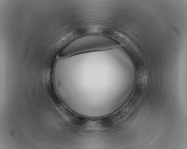 X0000113040560200909241437